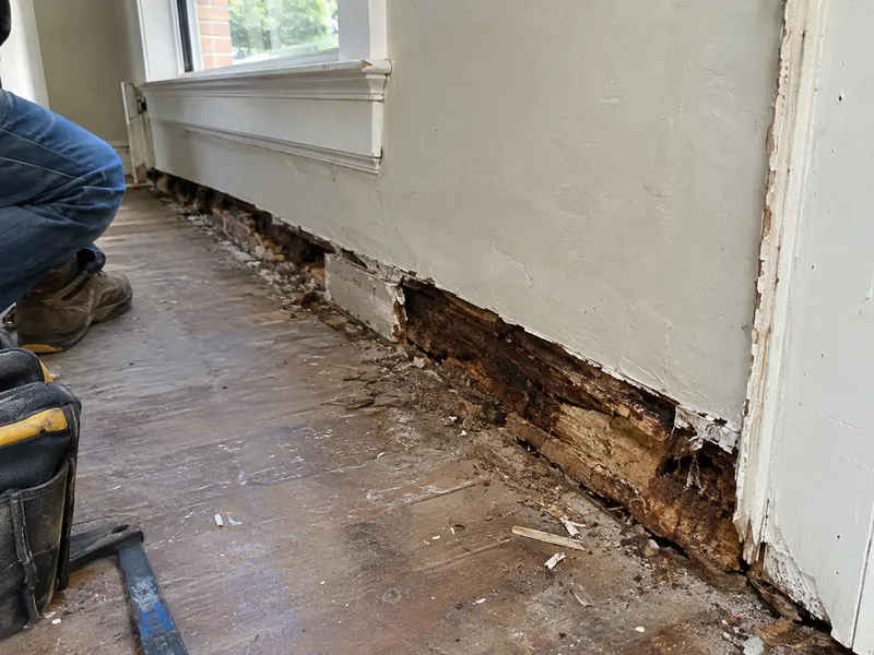Rotted sill plate at the base of a wall in an older Baton Rouge home
